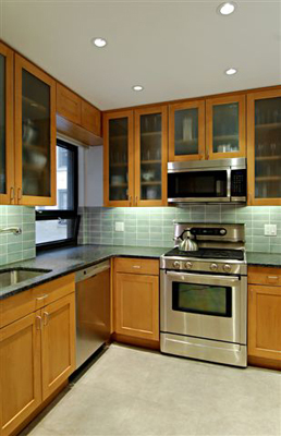 evans rubinson apartment kitchen